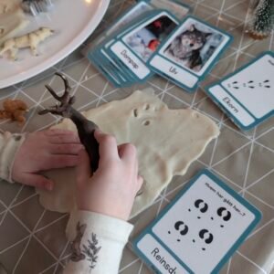 Vinterdyr og fotspor bildekort (digitalt)