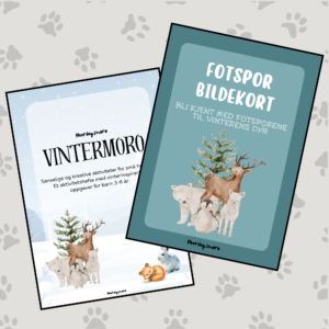 ❄️ Vintermoro og bildekort fotspor – fysisk produkt