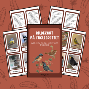 Bildekort - på fuglebrettet (digitalt)