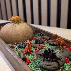 Lille dinoverden - Sansepakke