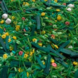 Blomstereng – sansebase