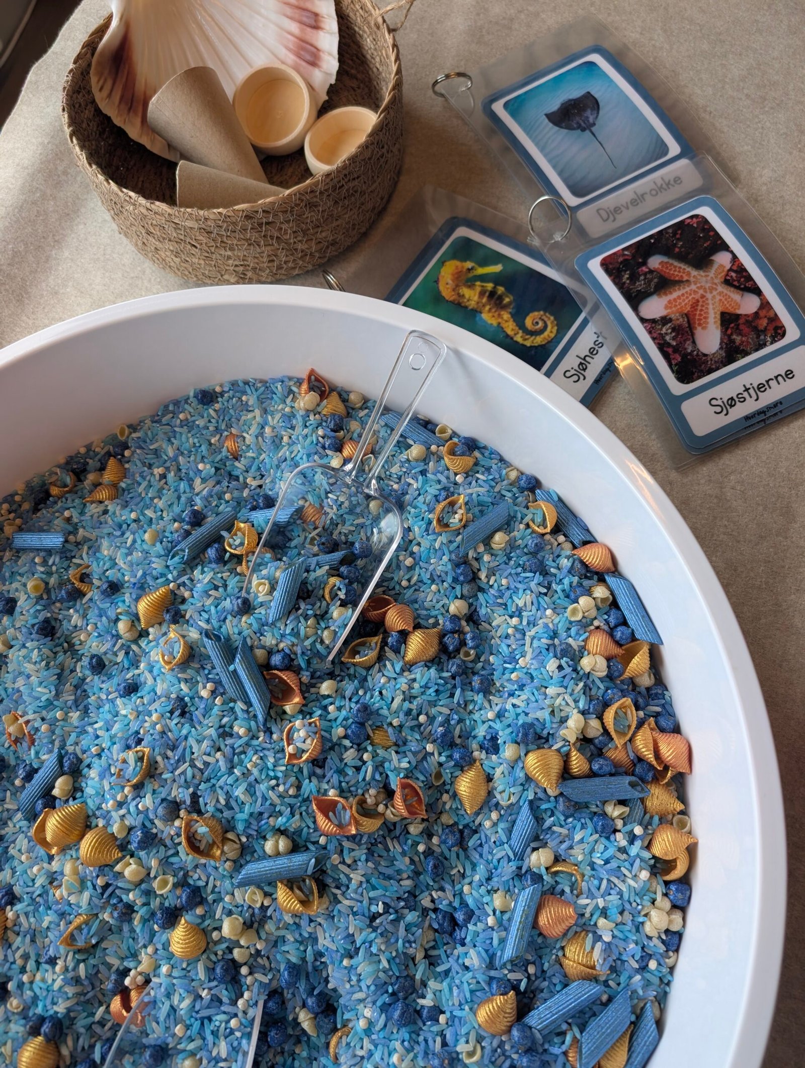 Produktbilde havet sansebase